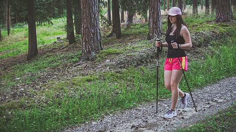 How to choose the trekking sticks?