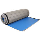 Gymnastic carpet
