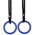 Strength gymnastic rings, plastic