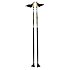 Race cross country poles