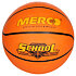 School basketball ball