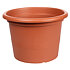 Campanula flower pot terracotta