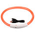 shiny shining dog collar orange