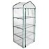 Greenhouse W 69x49x158 foil greenhouse