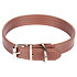 Dog Leash dog collar brown