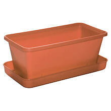 Small window box with saucer terracotta