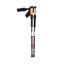 Alpen trekking poles
