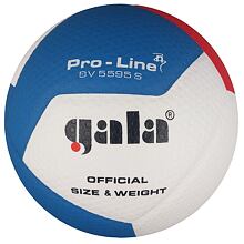 BV5595S Pro-Line volleyball ball