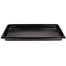 Basement for seedling tray
