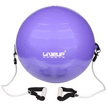 Flex LS3227 gymball with expanders violet