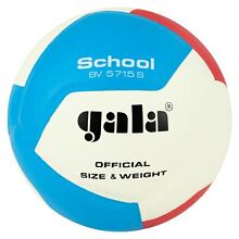 BV5715S School 12 volleyball ball