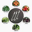 Fruit Hooks 13 háčky na ovoce 50 ks