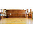 Official volleyball net