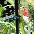 PlantClip 20 upínací spony na rostliny