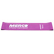 Mini Band training loop 50x5 cm violet
