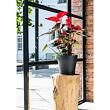 Tulipan Mat flower pot terracotta