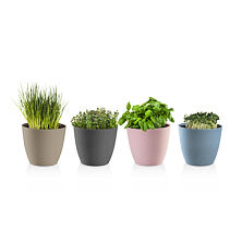 Plant boxes and pots