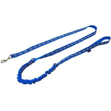 Dog Leashes for Biking