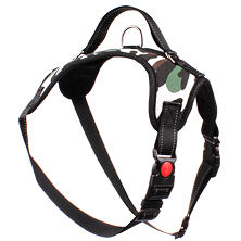 Dog harness