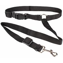 Seat belts for dogs in the car