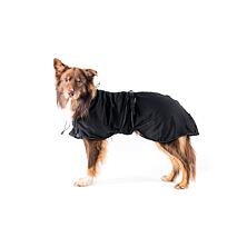 Clothes for dogs